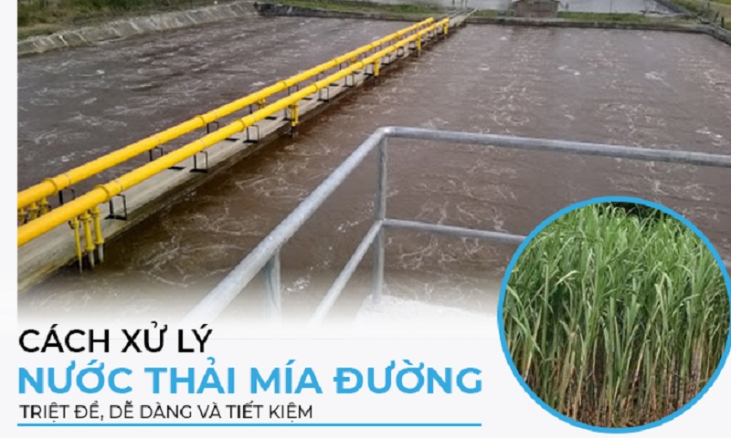 XỬ LÝ NƯỚC THẢI NGÀNH MÍA ĐƯỜNG